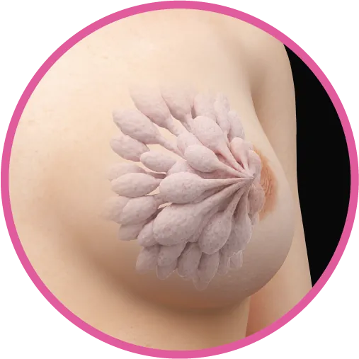 Breast / Gynecological Pathology