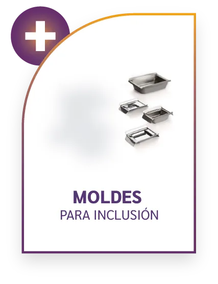 Imagen de Moldes Para Inclusion