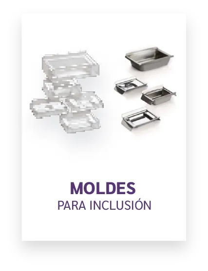 Imagen de Moldes Para Inclusion