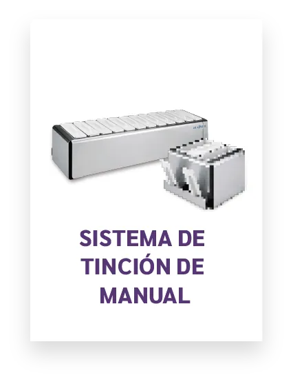 Sistema De Tincion De Manual