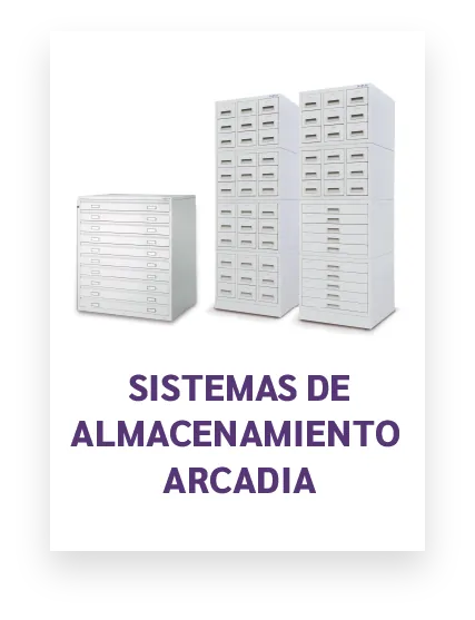 Sistemas De Almacenamieto Arcadia