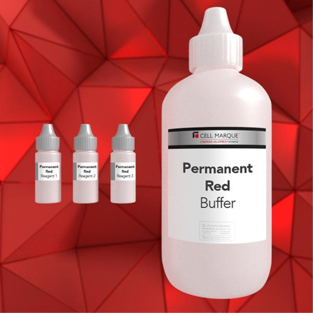 Permanent Red Chromogen Kit