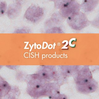 ZytoDot 2C