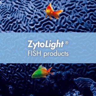Zyto Light