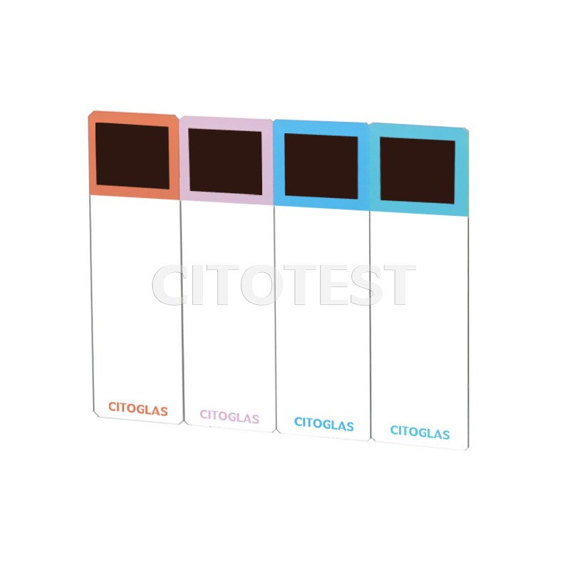 Portaobjetos para microscopio ColorInx