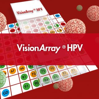 Vision Array HPV Chip 1.0